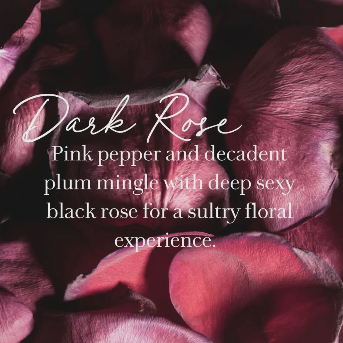 Roll-On Perfumes - Dark Rose