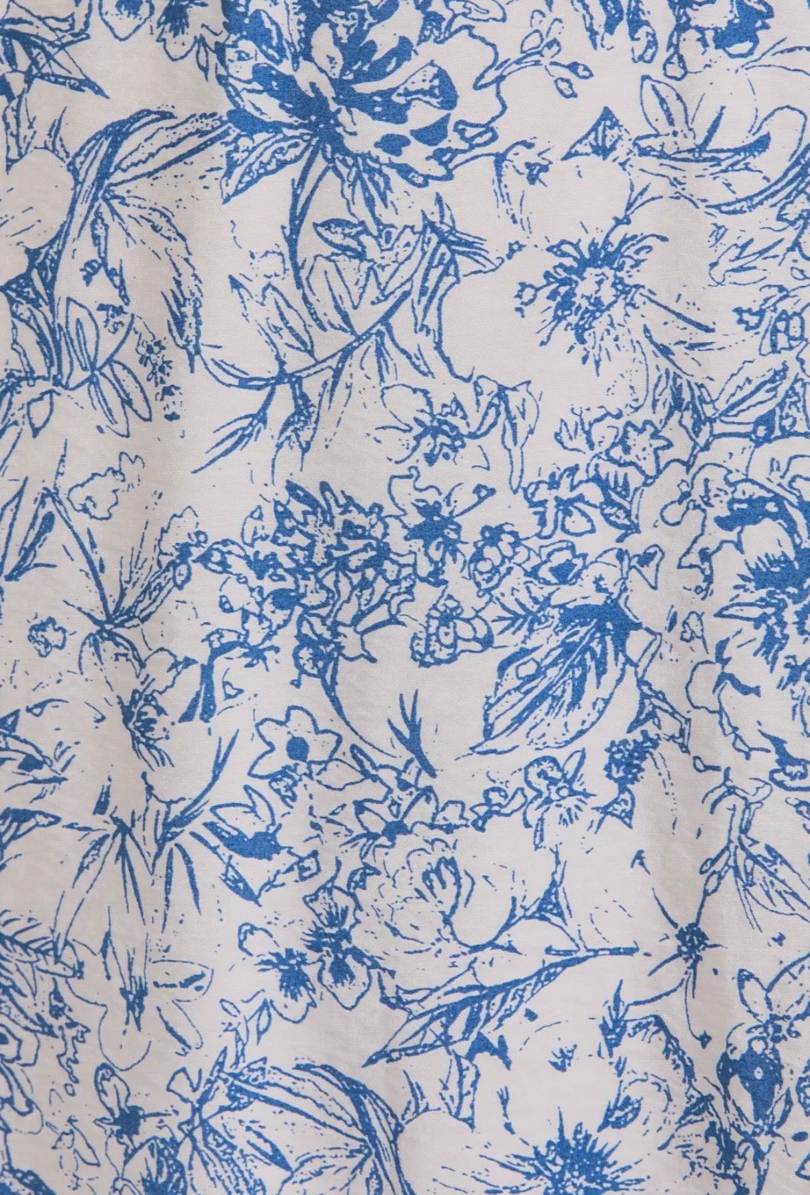 Cream Blue Floral Print Dress