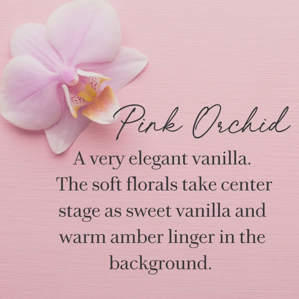 Roll-On Perfumes - Pink Orchid